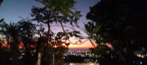 um pôr-do-sol sobre o oceano com palmeiras em primeiro plano em Passiflore em La Possession