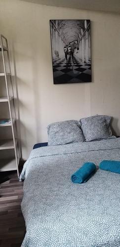 Chambre équipée (proche Paris)