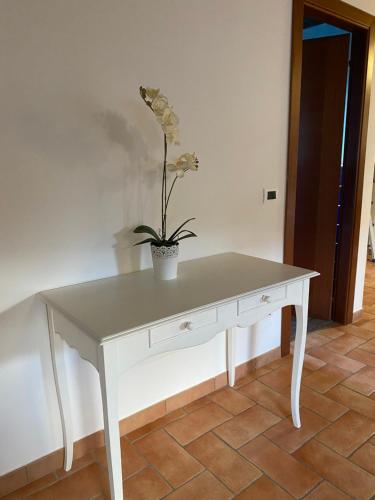 a white table with a potted plant on top of it at civico 8 in Viterbo