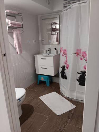 ein Bad mit einem WC, einem Waschbecken und einer Dusche in der Unterkunft Apartamento Triana in Alovera