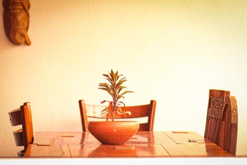 a potted plant sitting on top of a wooden table at Golden Town Hotel in Tangalle