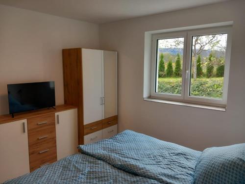 a bedroom with a bed and a tv and a window at Feriennest Ossiachersee in Bodensdorf