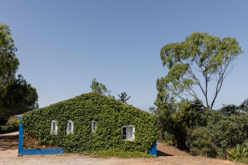a building covered in ivy with a tree behind it at RIVERSIDE RANCH by Nature Bliss in Vila Nova de Milfontes
