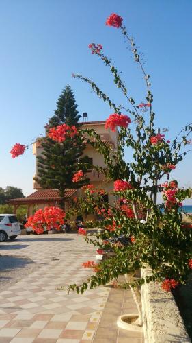 a tree with red flowers in front of a building at Frank Apartments in Amoudara Herakliou