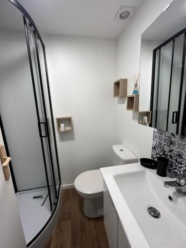 a white bathroom with a toilet and a shower at Villa La Butte, Appartements Chaleureux au Cœur de La Bourboule in La Bourboule