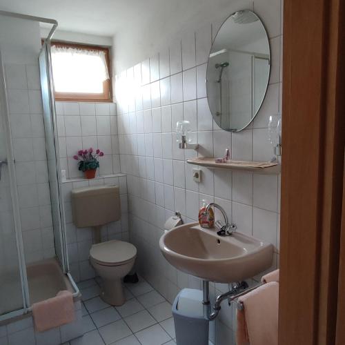a bathroom with a sink and a toilet and a mirror at Gästehaus Familie Rinke in Bad Harzburg