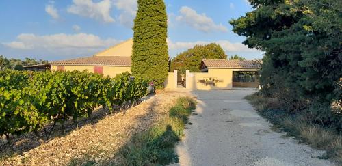 Κήπος έξω από το Mas La Gentille ,,, à la campagne , beautiful outdoor , swimming pool , pool house , Nice green Garden , BBQ ,,, only for you , pour passer un séjour inoubliable
