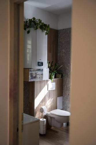 a bathroom with a toilet and a cabinet with plants at Csipesz_Vendégház in Sümeg