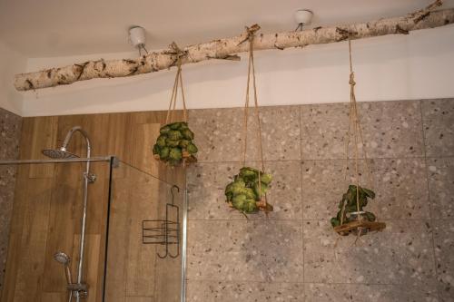 a bathroom with green plants hanging from the wall at Csipesz_Vendégház in Sümeg