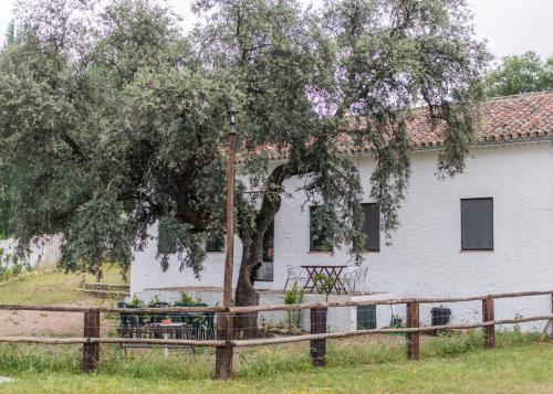 Una casa blanca con un árbol delante. en La Umbría de la Ribera, en El Pedroso