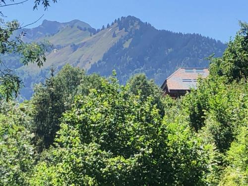 a house in the trees with a mountain in the background at Le Refuge Au Pied d'Hauto in Montriond