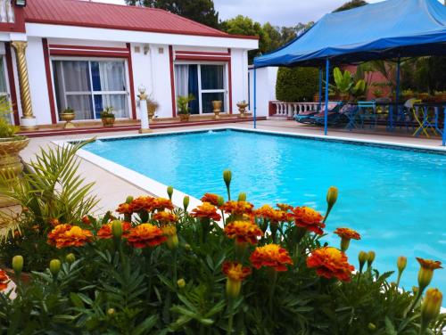 a swimming pool with orange flowers in front of a house at Petite Flower Guest House in Talata-maty
