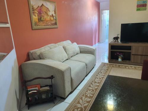 ein Wohnzimmer mit einem Sofa und einem Flachbild-TV in der Unterkunft Apartamento Inteiro in Blumenau
