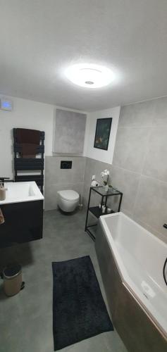 La salle de bains est pourvue d'une baignoire, de toilettes et d'un lavabo. dans l'établissement Kleine gemütliche Wohnung, à Geislingen