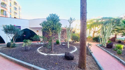 a garden with trees and a pole on a sidewalk at Guinea Apartment in Playa del Ingles