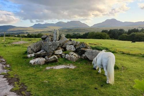 a white horse grazing next to a pile of rocks at 299 Willow Lodge in Trawsfynydd
