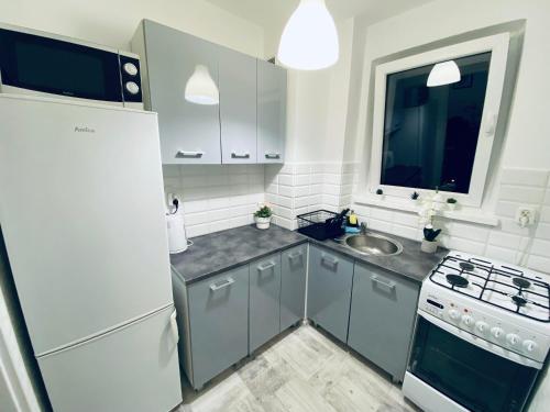 ワルシャワにあるClickTheFlat Wokalna Apart Roomsの白い冷蔵庫とシンクのあるキッチン