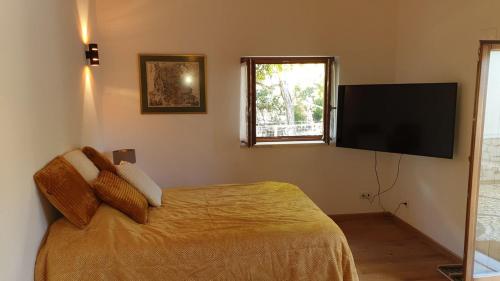 a bedroom with a bed and a flat screen tv at Quinta de São Pedro in Sobreda
