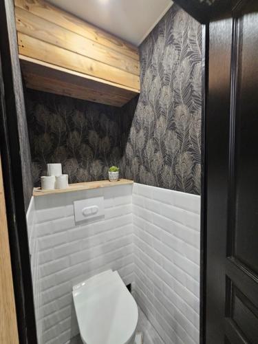 a bathroom with a white toilet in a room at Chalet au pied des pistes in Saint-François-Longchamp