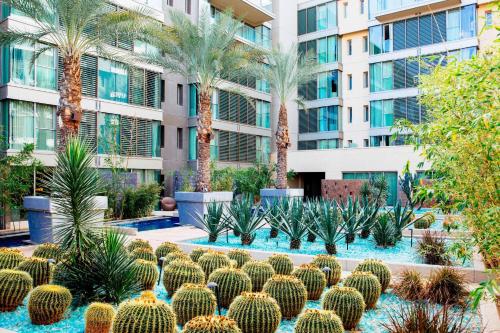a courtyard with cacti and palm trees in front of a building at W Scottsdale in Scottsdale
