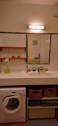 une salle de bain avec un lavabo et une machine à laver dans l'établissement Au coeur des Alpilles Rdc Jardin et Piscine, à Paradou