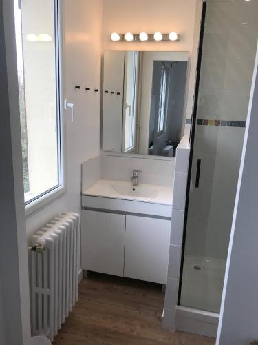 une salle de bain avec un lavabo et un miroir dans l'établissement Maison confortable et calme/5 chambres & 6 SdB, à Toulouse