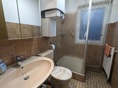 La salle de bains est pourvue d'un lavabo, de toilettes et d'une douche. dans l'établissement Haus Ekke Nekkepenn I, Whg 3, à Wyk auf Föhr