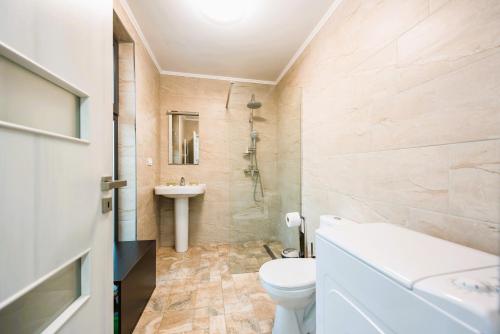 a bathroom with a toilet and a sink at Casa Beaumont Cristian in Cristian