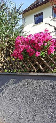 a bunch of pink flowers in a wooden fence at Ferienwohnung mit Terrassen für 1-4 Personen in Altena