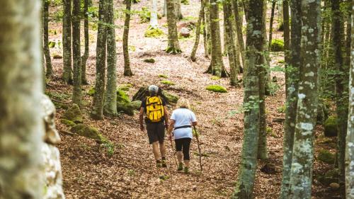 two people walking on a trail in the woods at 35-Casa Turrini Amiata, Aria condizionata, Val d'Orcia, Toscana, Sport, Natura in Castel del Piano