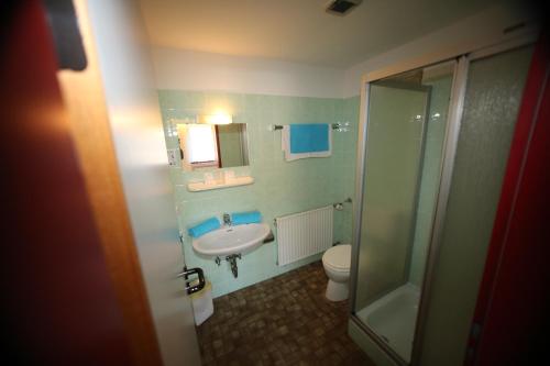 a bathroom with a sink and a toilet and a shower at Hotel Bechtel in Burbach