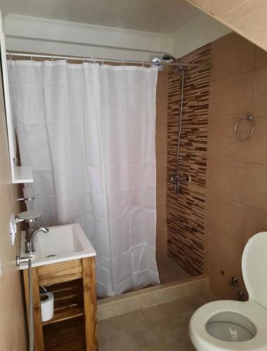 a bathroom with a shower with a toilet and a sink at Caracolas Departamentos in San Clemente del Tuyú