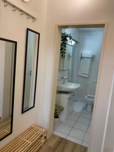 a bathroom with a sink and a toilet and a mirror at Eine schöne Wohnung am Messeplatz in Basel