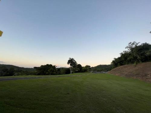 a green field with palm trees on a hill at Apartamento El Secreto in Canovanas