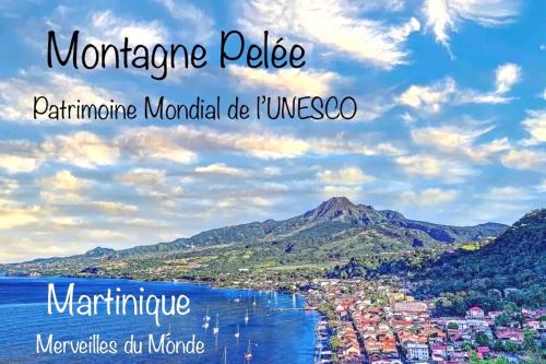 a view of the town of montenegro on the water at LODGE PAMPLEMOUSSE avec PISCINE privative , dans parc calme à 500 m plage in Le Carbet