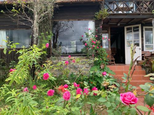 a garden with pink roses in front of a house at Romantic house on a pine hill Dalat in Xuan An
