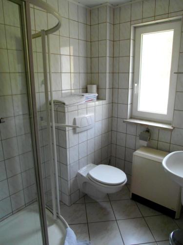 a bathroom with a toilet and a sink and a window at Ferienhaus Barbara in Masserberg