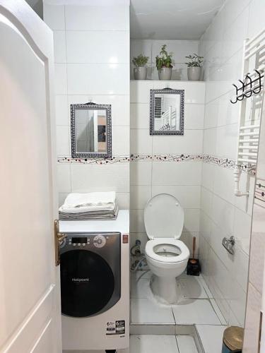 un piccolo bagno con servizi igienici e lavandino di Mika Homes a Istanbul
