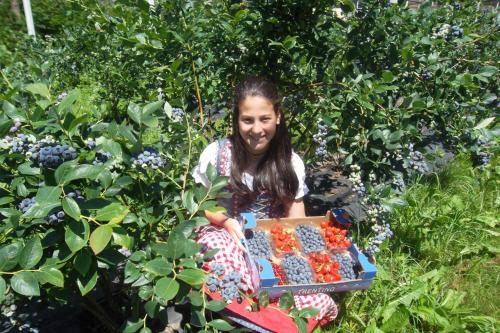 a girl sitting in a bush with a table of berries at Agriturismo Maso Grisun in Borzago
