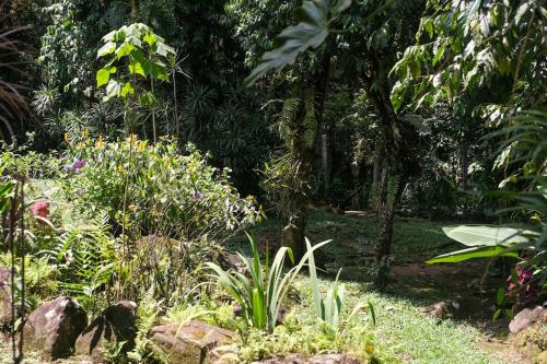 a garden with plants and rocks and trees at Casa em penedo com cachoeira in Penedo