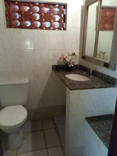 a bathroom with a toilet and a sink and a mirror at Casa em penedo com cachoeira in Penedo