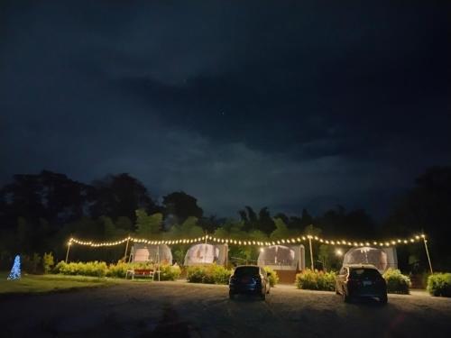 two cars parked in a parking lot at night at Riverhill khaoyai Camping in Pong Talong