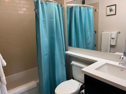 a bathroom with a blue shower curtain and a toilet at SONESTA in Houston