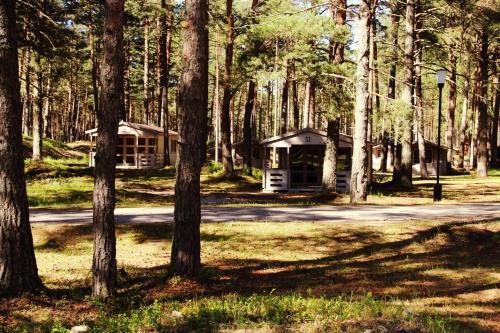 a cabin in the middle of a forest with trees at Valgeranna Puhkekeskus in Valgeranna