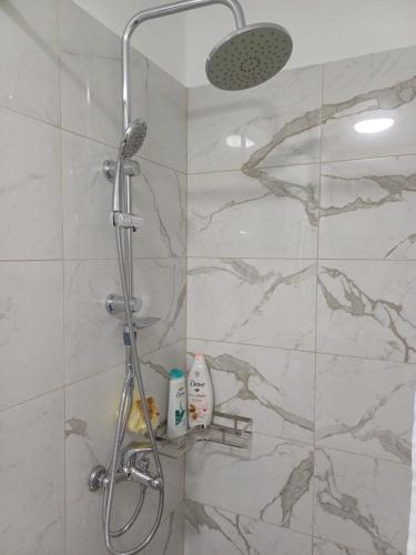 a shower with a shower head in a bathroom at Regis Apartment in Tirana