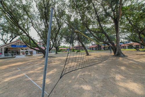 a net in the middle of a park with trees at Adena Beach Resort in Kuantan
