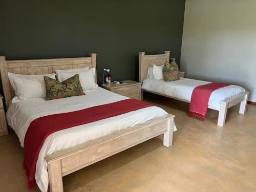 two beds in a bedroom with green walls at Lake Grappa Guestfarm in Augrabies