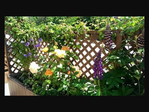 a garden with flowers and a wooden fence at The Old Bell in Shrewsbury