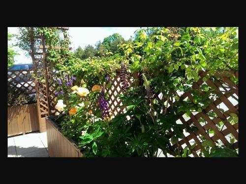 a wooden fence with a garden of flowers at The Old Bell in Shrewsbury