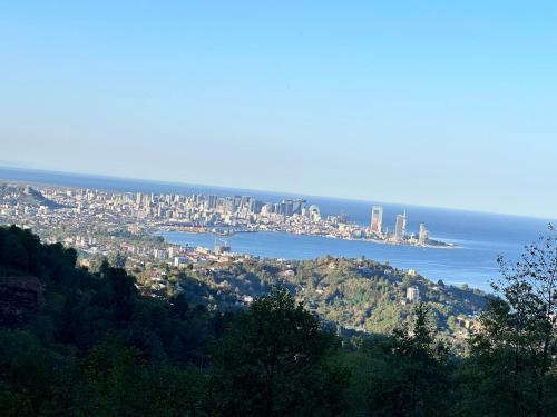 a view of a city from a hill with the ocean at Cottage "Sunset" in Batumi